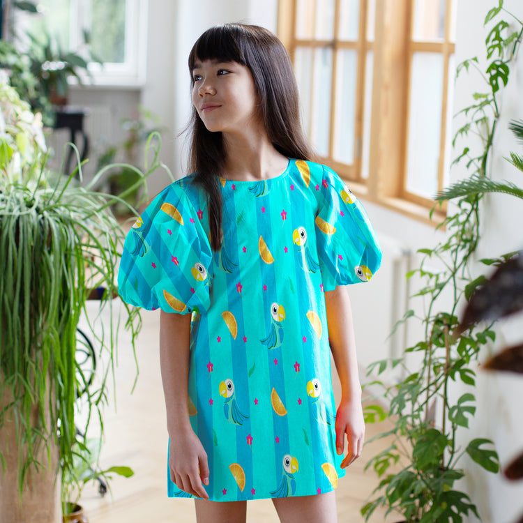 Cheerful Meringue Dress