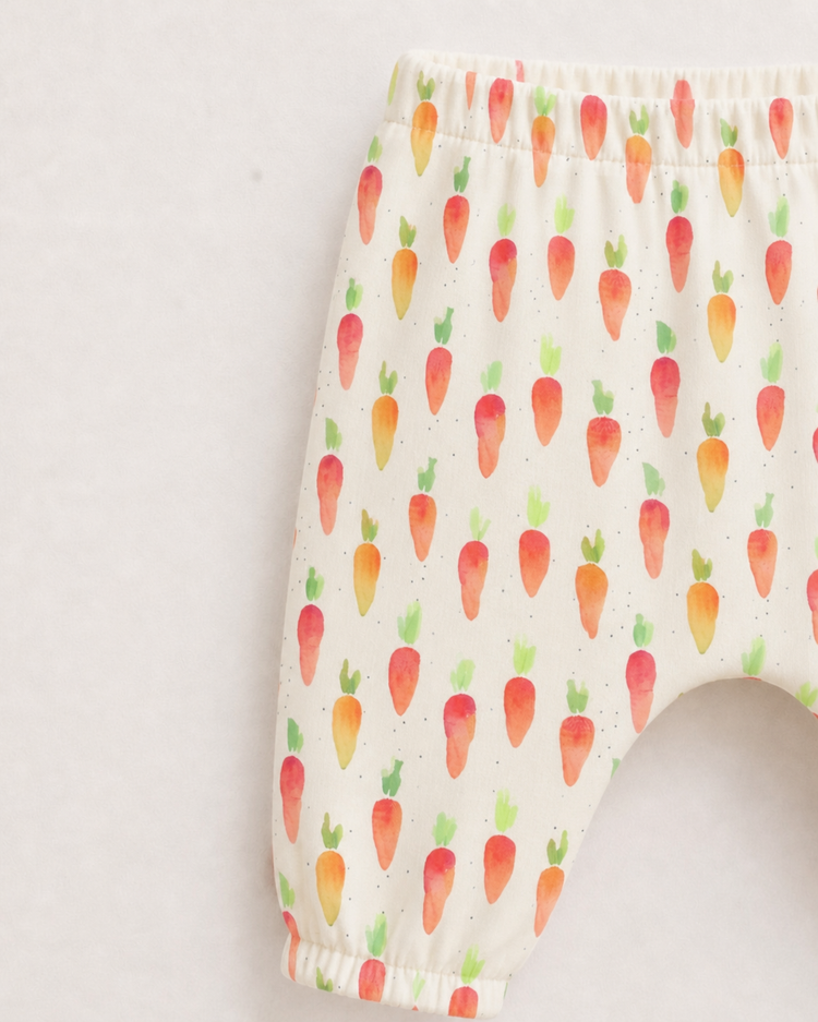 Garden carrots Set