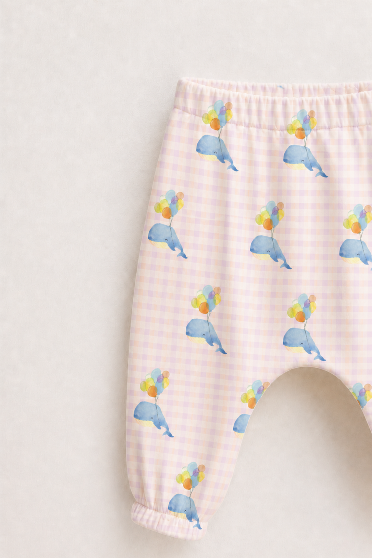 Playful Dolphin Set
