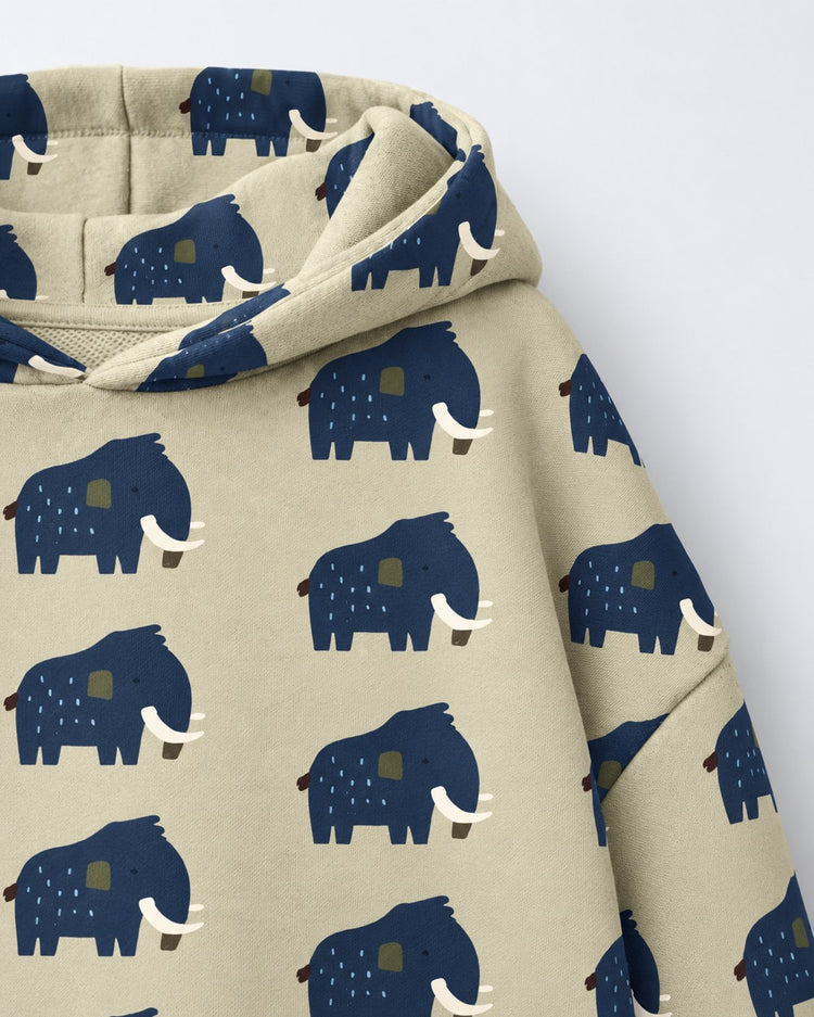 Beige Mammoth Hooded Barrel Pant Set flat lay by Anaario