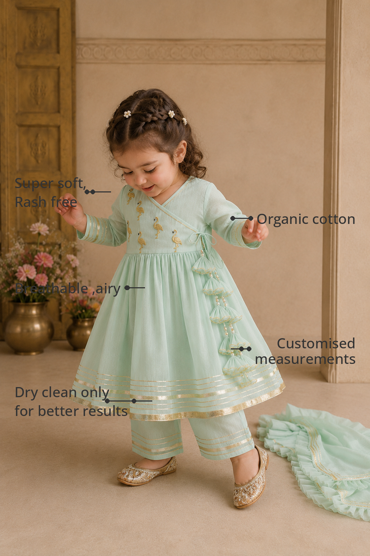 Anaario Mint Green Flamingo Angrakha Set features - organic cotton, super soft and rash free, breathable, dry clean only, customised measurements