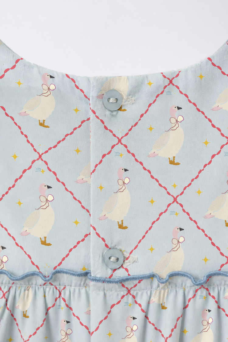 Baby wearing Anaario Blue Goose soft blue with goose and lattice prints co-ord set, newborn to 24 months