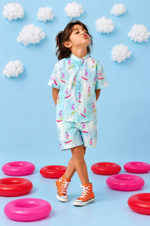 Anaario Flamingo Co-ord Set