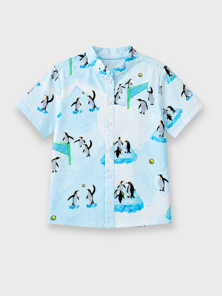 Boy wearing Anaario Penguin Ice Shirt Set
