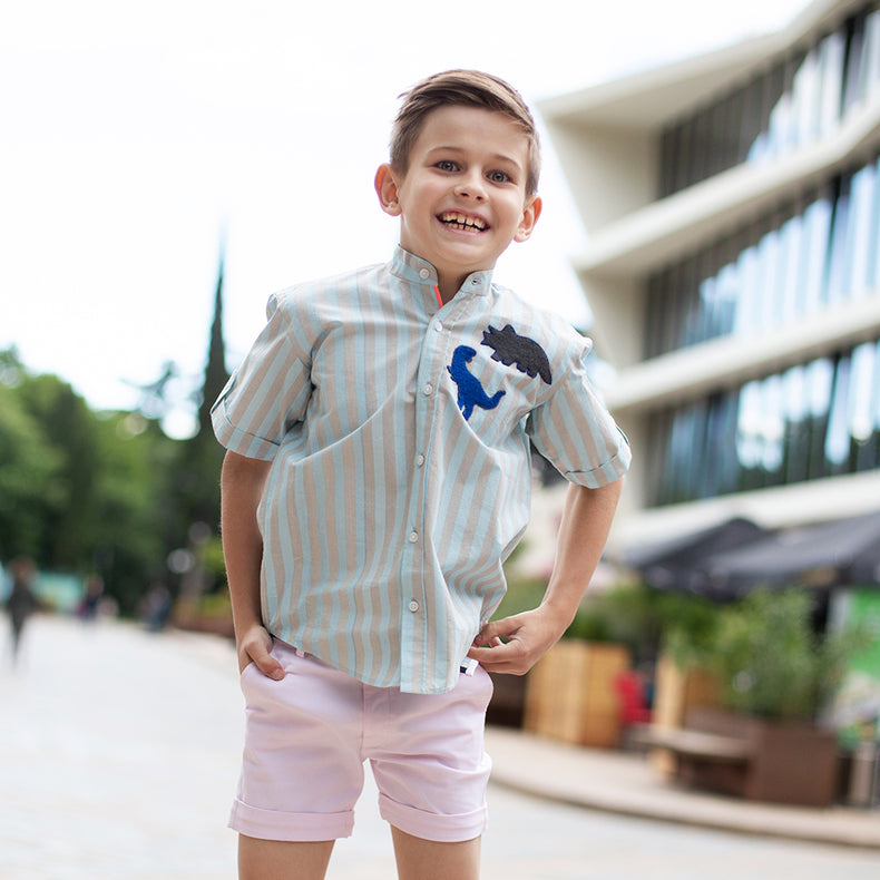 Blue and grey stripes- Classique Shirt 2024