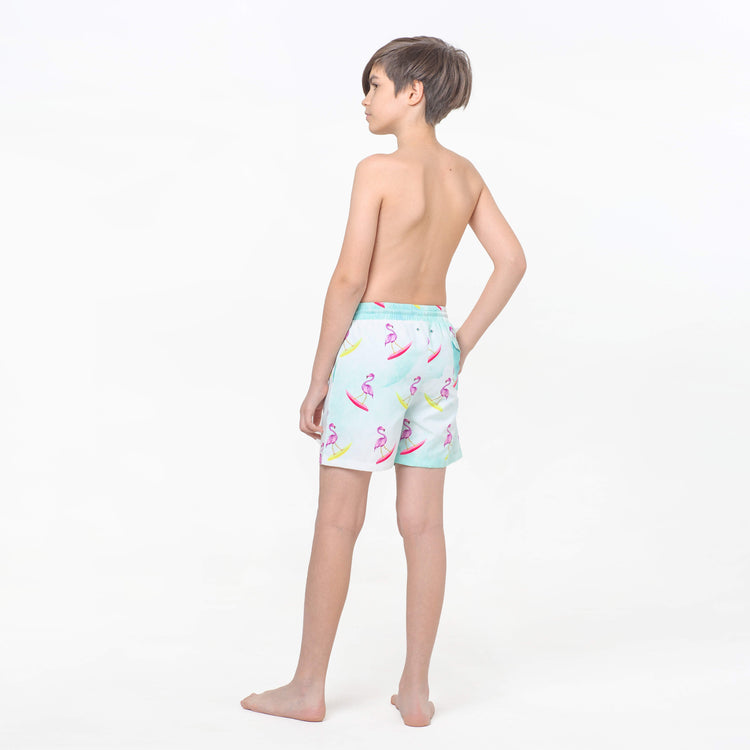 Flamingos Surf_s Up Fun in the Sun Shorts