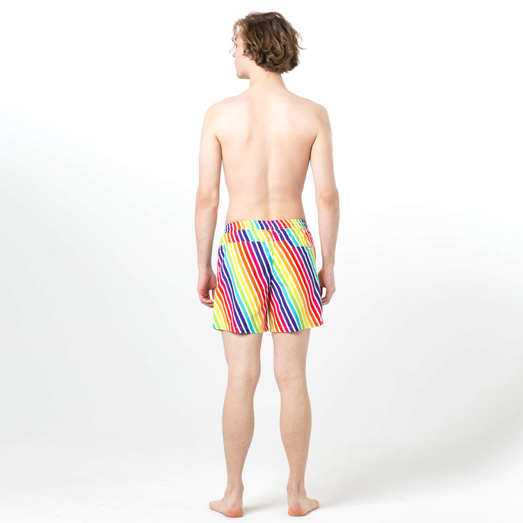 Multicolored Pinstripes Fun in the Sun Shorts