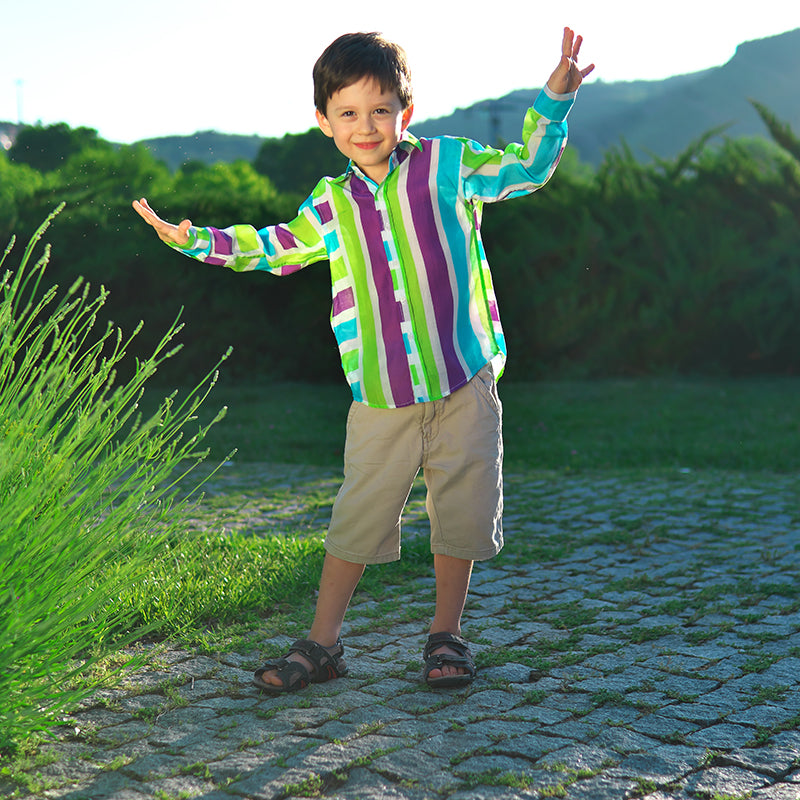 Classique Shirt - Purple and blue stripes