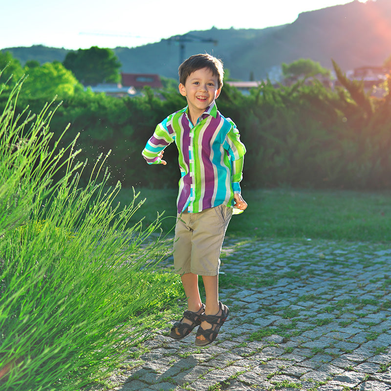 Classique Shirt - Purple and blue stripes