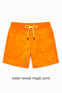Turtle Tide Magic Shorts Co-ord Set