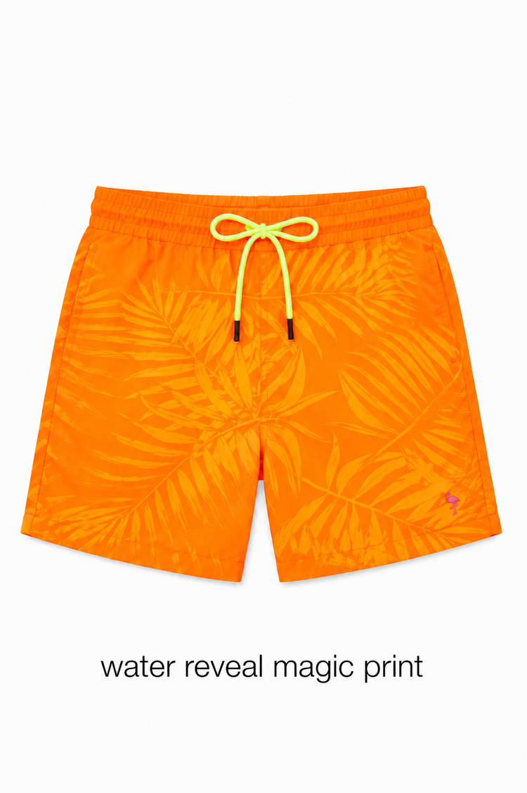 Turtle Tide Magic Shorts Co-ord Set