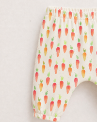 Garden carrots Set
