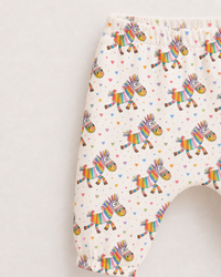 Rainbow Zebra Set