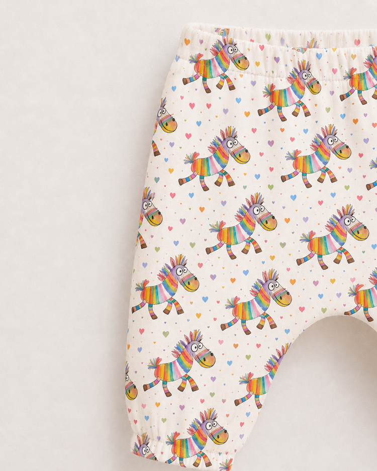 Rainbow Zebra Set
