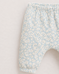 Bluebell Daisy Set