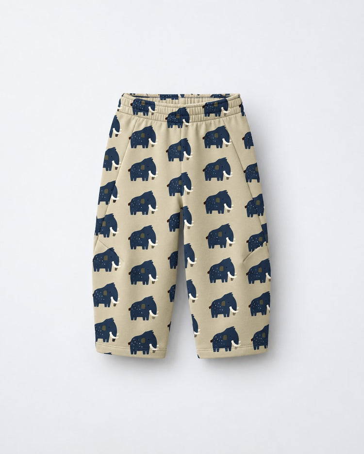 Beige Mammoth Hooded Barrel Pant Set flat lay by Anaario