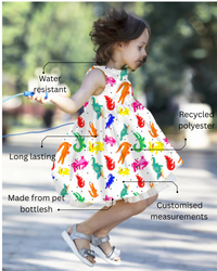 Dreamy C'est La Vie Dress