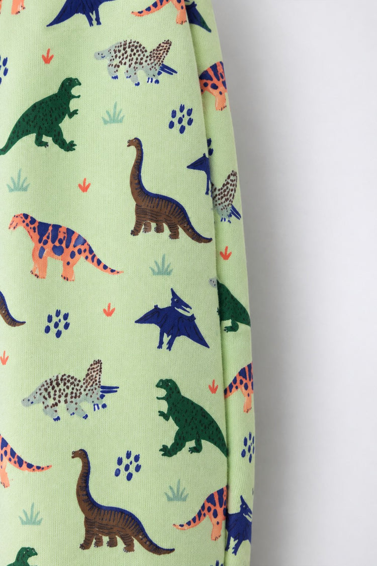 Green Dinosaur Hooded Jogger Set flat lay by Anaario