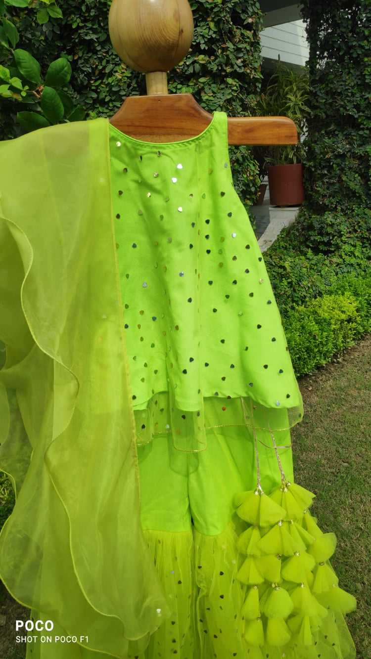 Chandni Lime Sharara Set