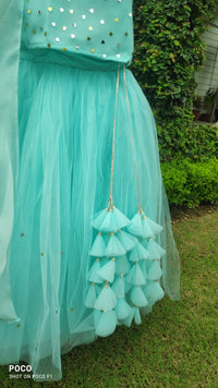 Neelpari Lehenga Set