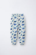 Blue Dinosaur Jogger Set flat lay by Anaario