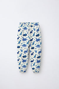 Blue Dinosaur Jogger Set flat lay by Anaario