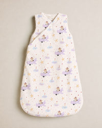 Aeroplane Teddy Bamboo Baby Sleeping Bag