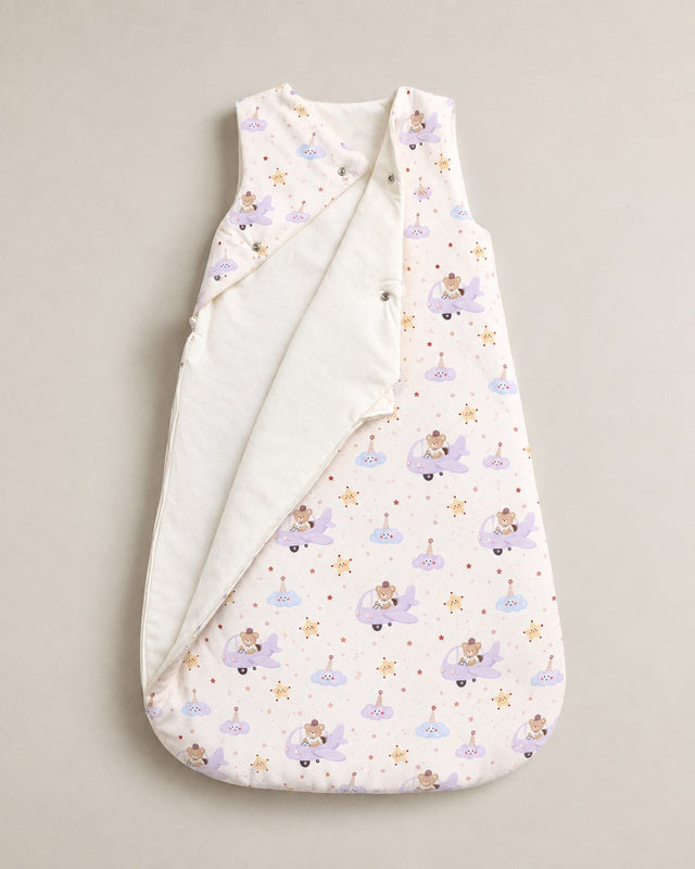 Aeroplane Teddy Bamboo Baby Sleeping Bag