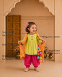 Anaario Lime Green Dragonfly Patiala Salwar Set features - organic cotton, super soft and rash free, breathable, dry clean only, customised measurements