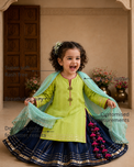 Anaario Lime Green Navy Lehenga Set features - organic cotton, super soft and rash free, breathable, dry clean only, customised measurements
