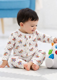 Rainbow Zebra Set