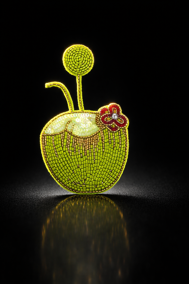 Anaario Coconut Brooch pin