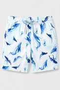 Anaario Dolphin Co-ord Set