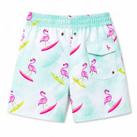 Anaario Flamingo Co-ord Set