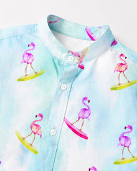 Anaario Flamingo Co-ord Set