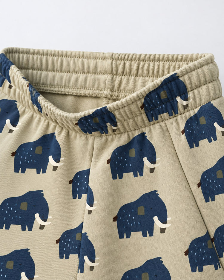 Beige Mammoth Hooded Barrel Pant Set flat lay by Anaario