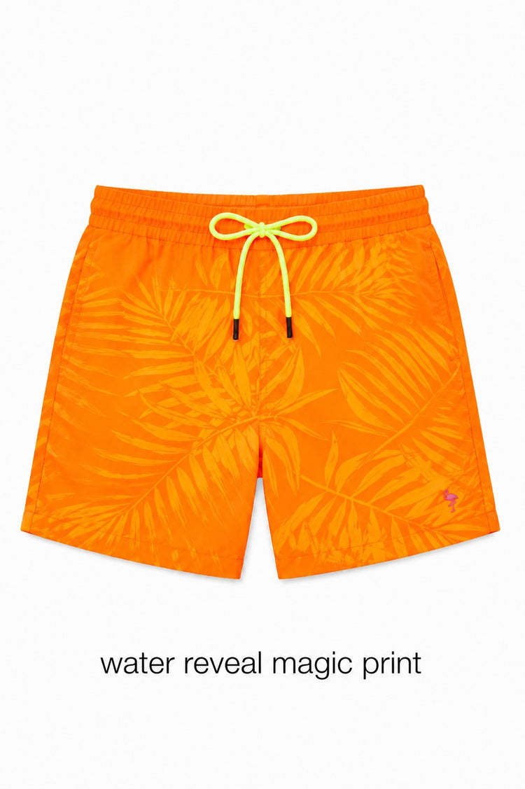 Orange Magic Short Set