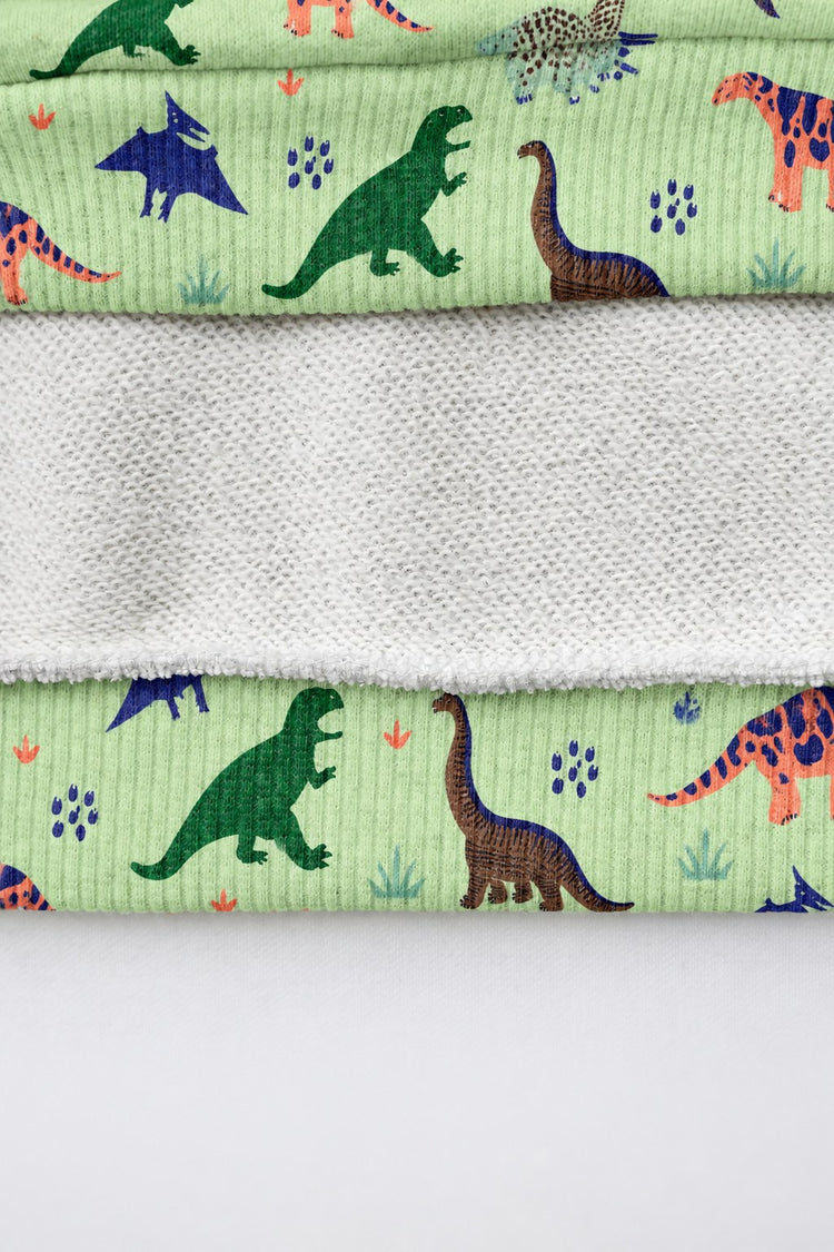 Green Dinosaur Hooded Jogger Set flat lay by Anaario