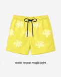 Anaario Lemon Co-ord Set