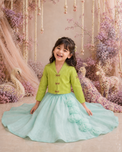 Indian Lime Green Dragonfly Jacket-Lehenga Set - Anaario - Image 8