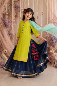 Indian Lime Green Navy Lehenga Set - Anaario - Image 11