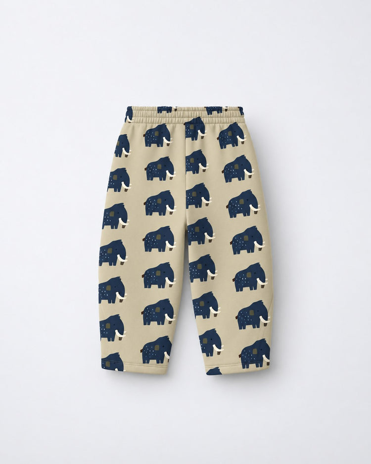 Beige Mammoth Hooded Barrel Pant Set flat lay by Anaario