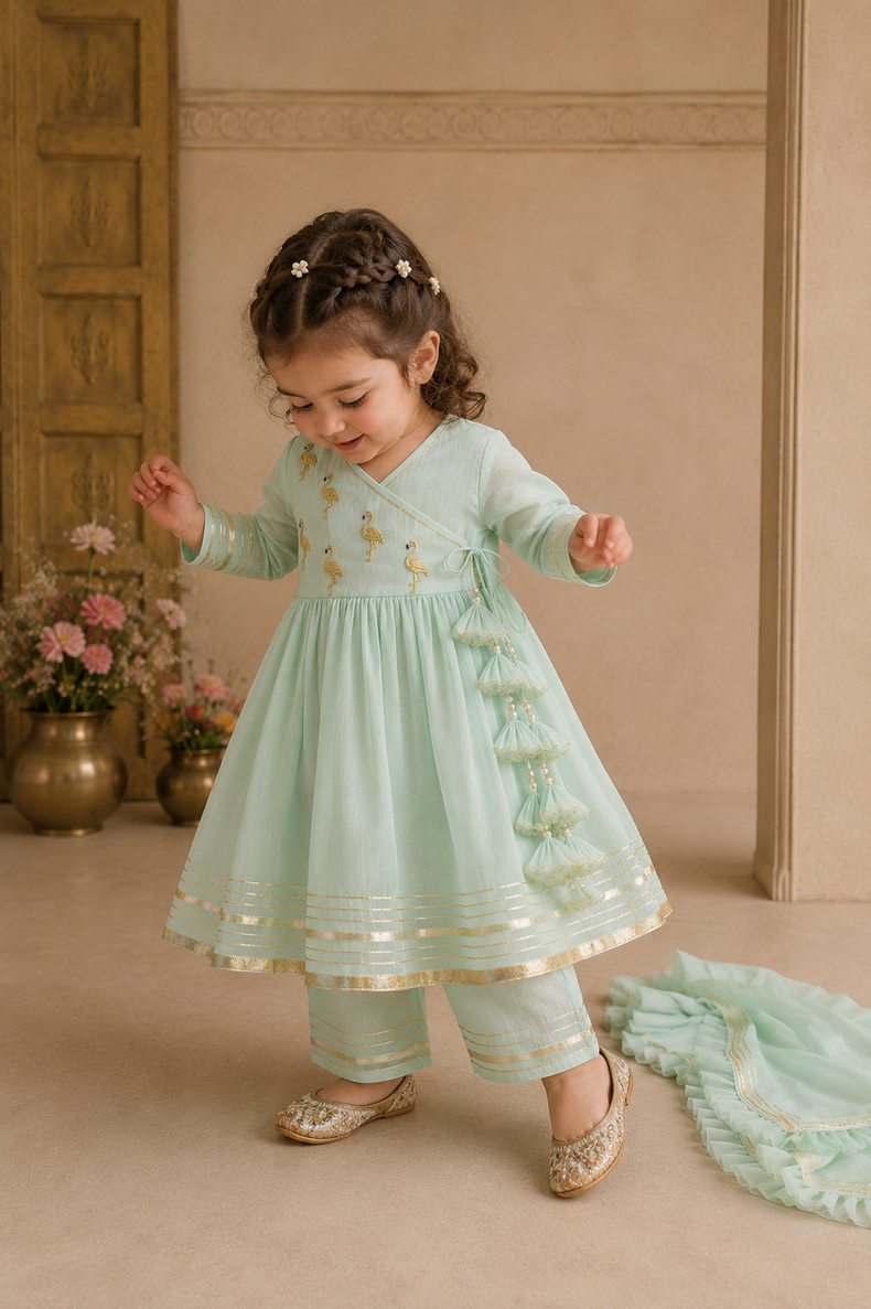Indian Mint Green Flamingo Angrakha Set - Anaario - Image 1
