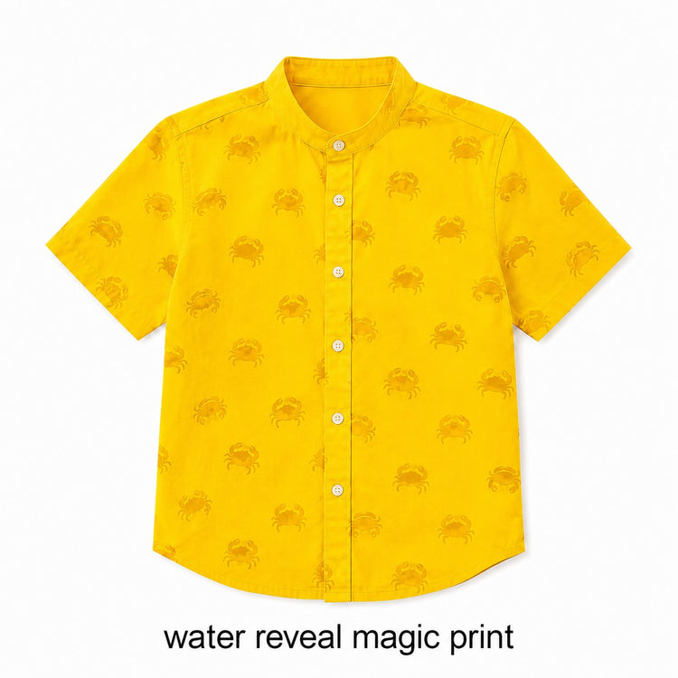 Anaario Multi Polka Co-ord Set