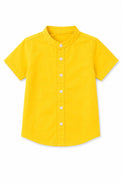 Anaario Multi Polka Co-ord Set