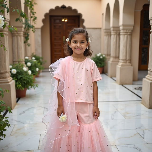Gulabi Pari Sharara Set