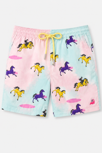 Boy wearing Anaario Pastel Horse Shorts