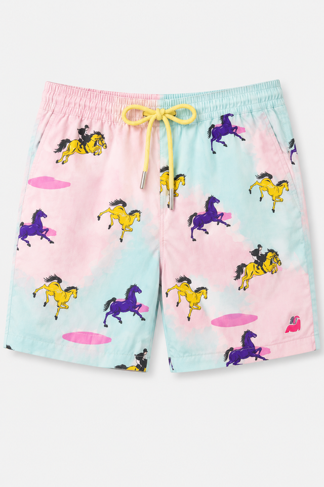 Boy wearing Anaario Pastel Horse Shorts