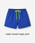 Boy wearing Anaario Penguin Chill Magic Shorts Co-ord Set