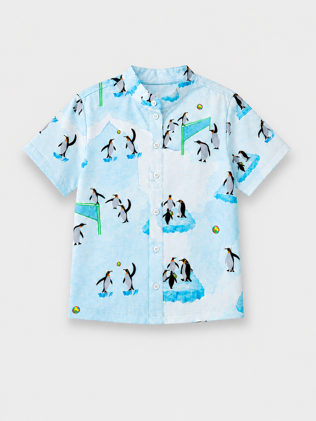 Boy wearing Anaario Penguin Ice Shirt Set